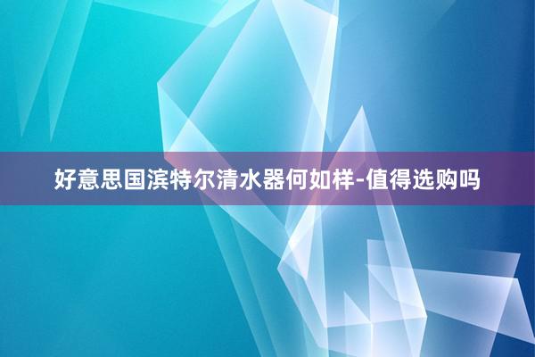 好意思国滨特尔清水器何如样-值得选购吗