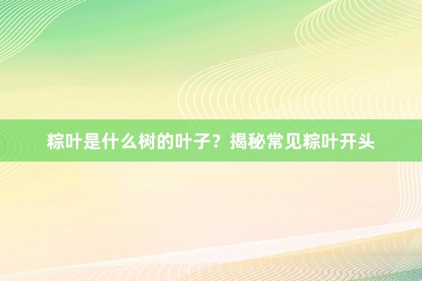 粽叶是什么树的叶子？揭秘常见粽叶开头
